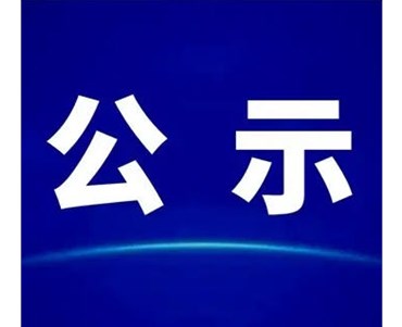 关于石化区公用管廊（滨海大道段）项目施工招标计划标前公示